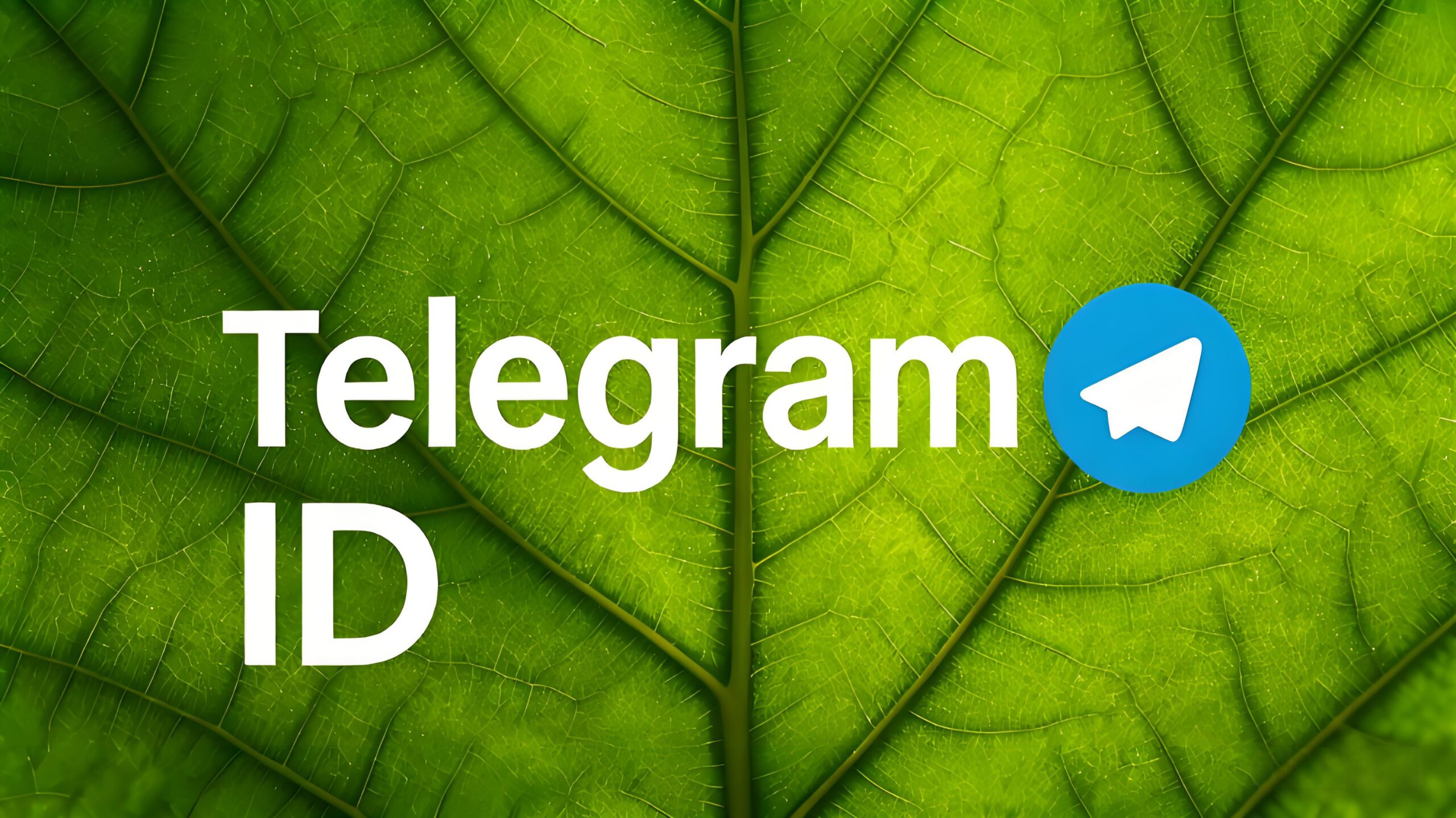 Telegram ID怎么查看？获取方法详解