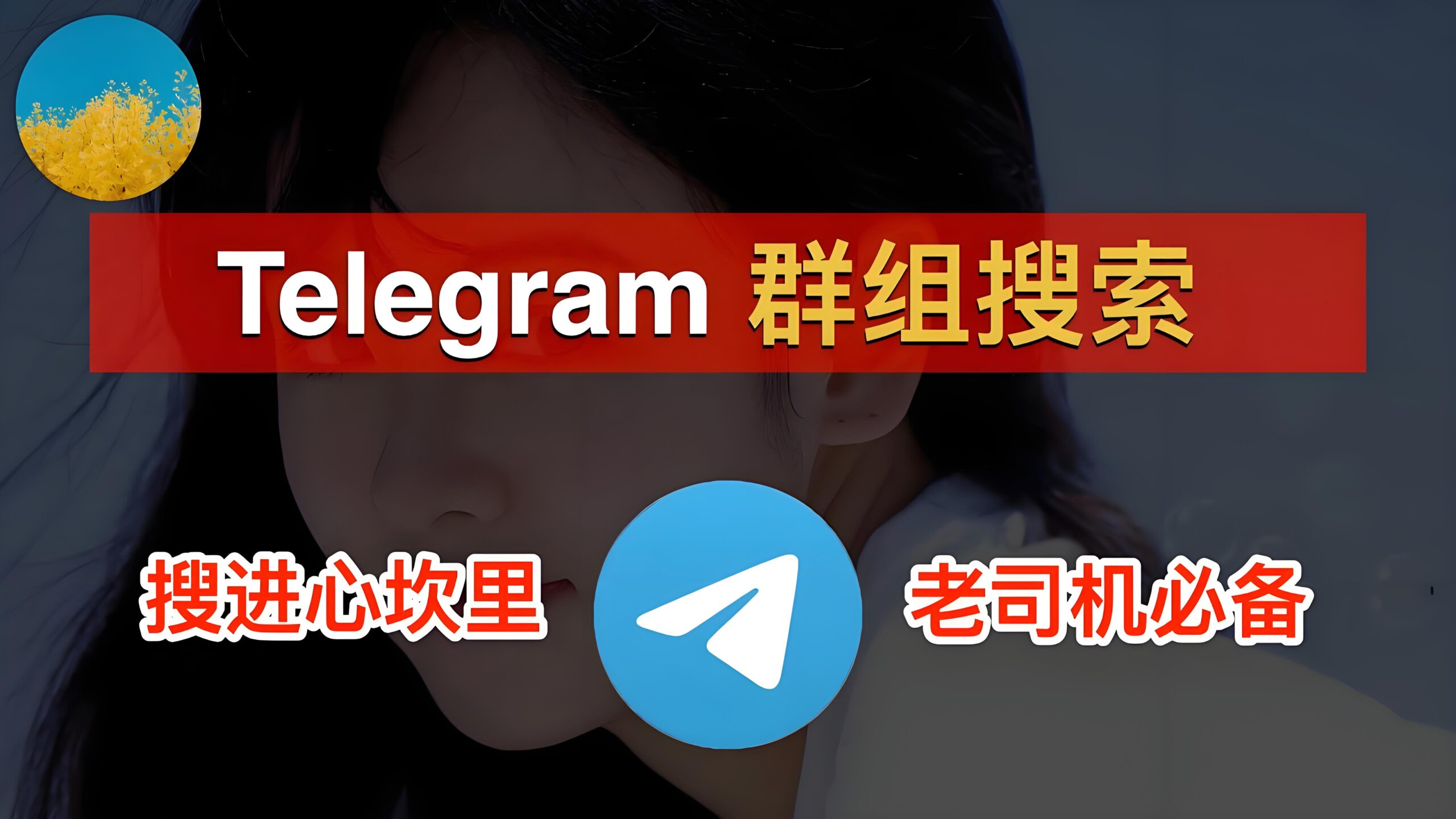 Telegram电报群组怎么搜索？