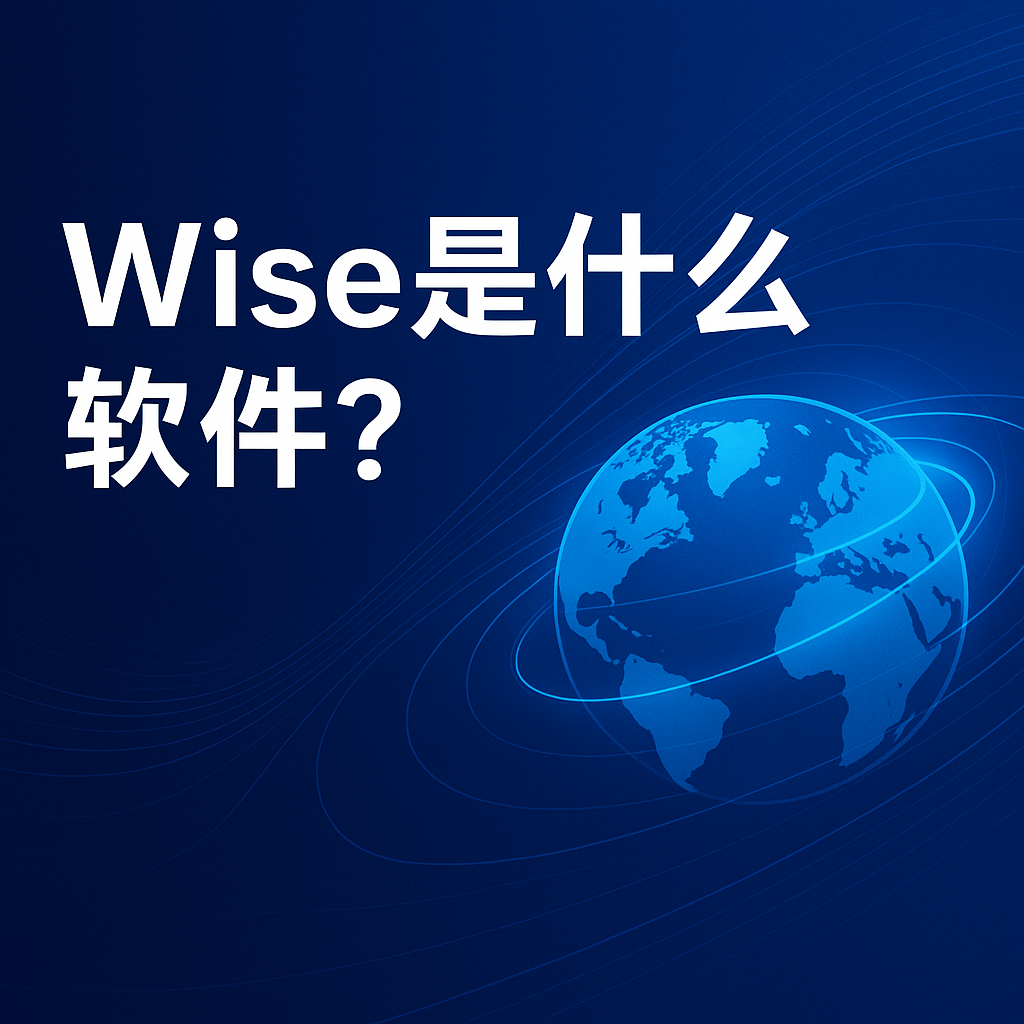 Wise软件有什么用